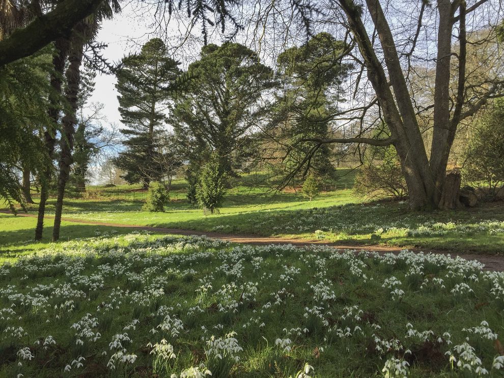 Killerton House