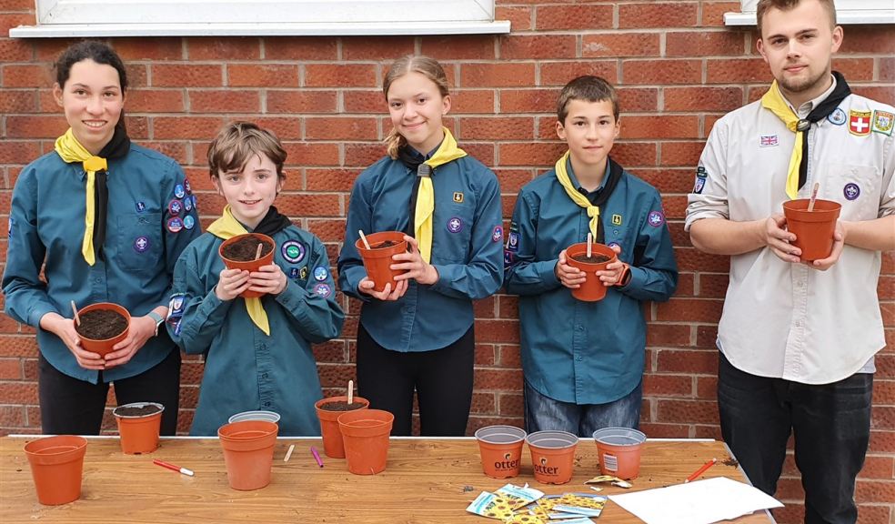 Scout troop potting up sunflower seeds