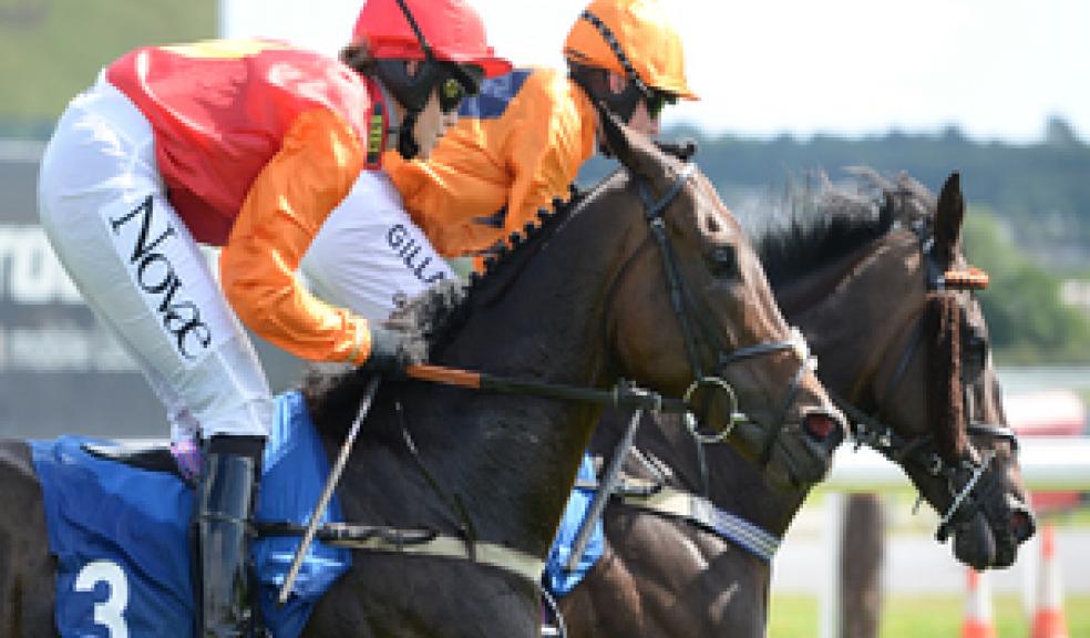Newton Abbot Racecourse