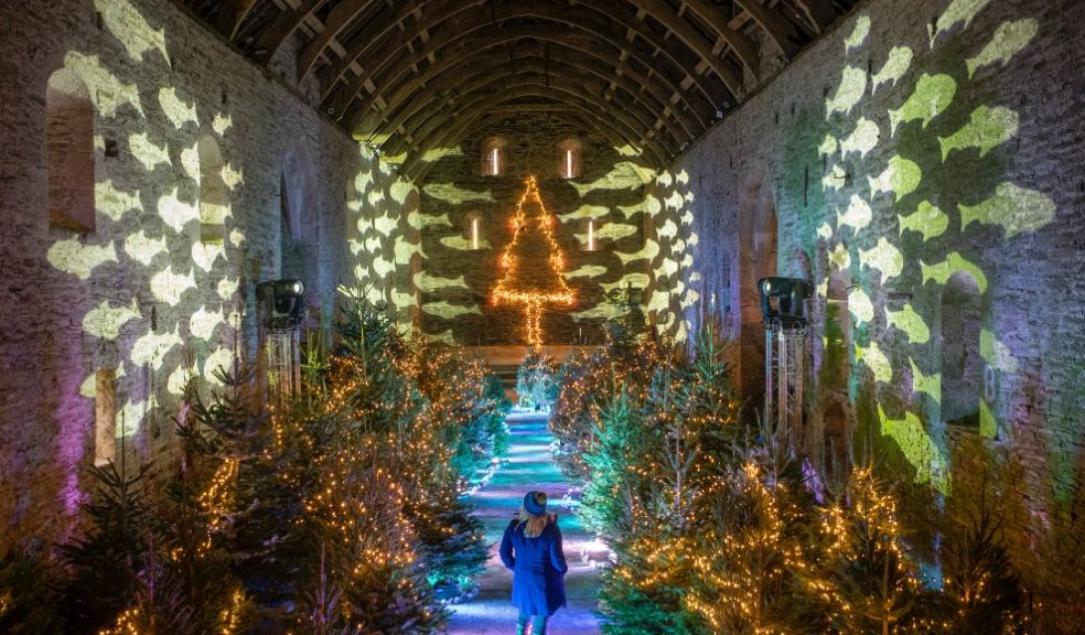 100 trees light up Tithe Barn in Christmas River of Light display at National Trusts Buckland Abbey in Devon. Photo: Steve Haywood National Trust