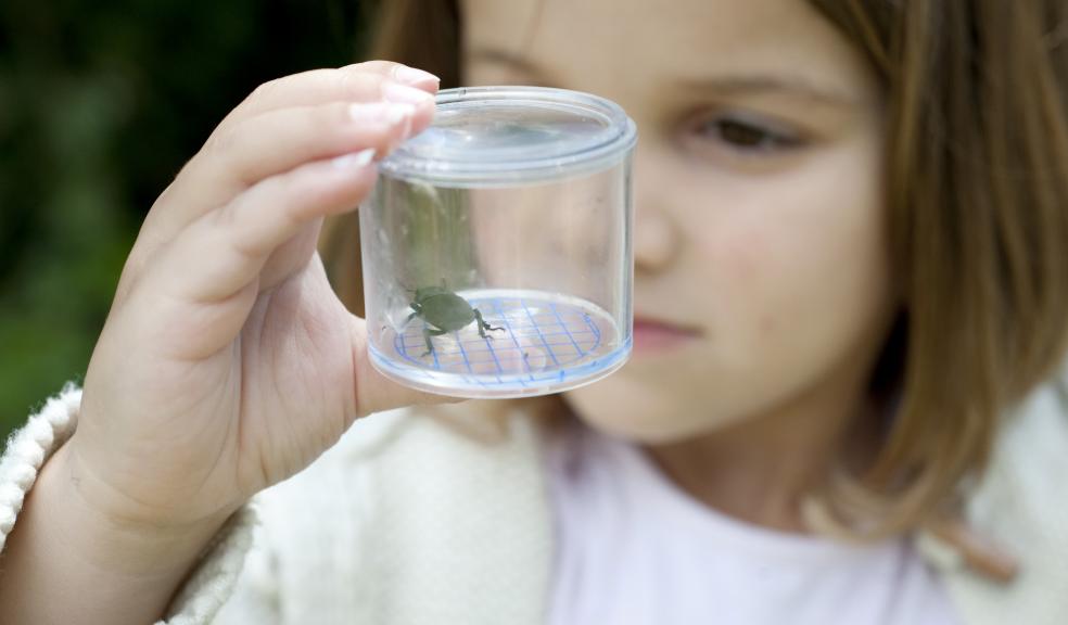 Children looking at bugs in jars. Photo: Eleanor Bentall (rspb-images.com)