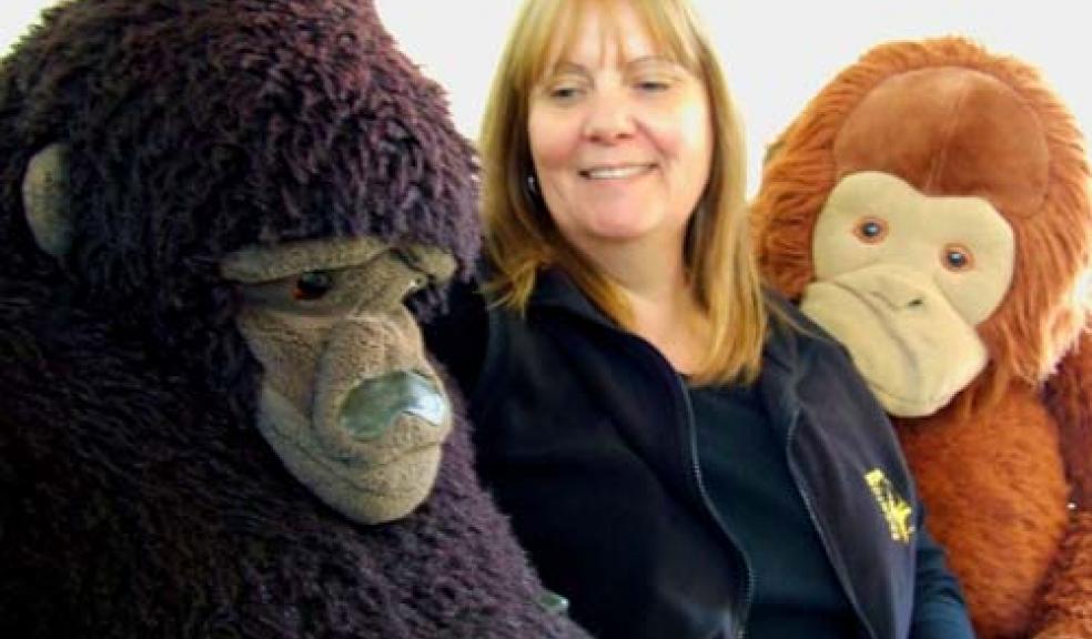 Koko and friends
