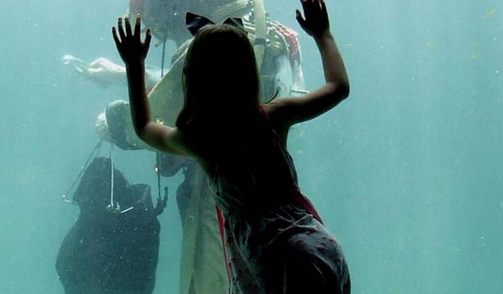 Diving at Living Coasts