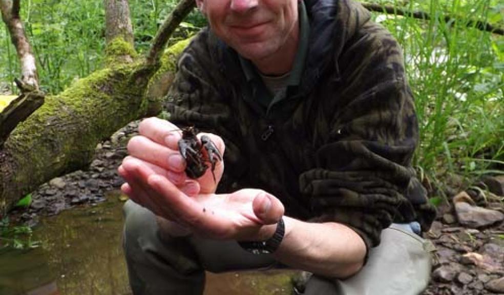 Saving crayfish