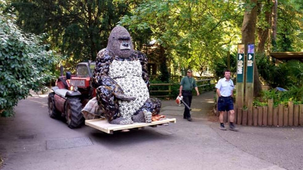 Moving in