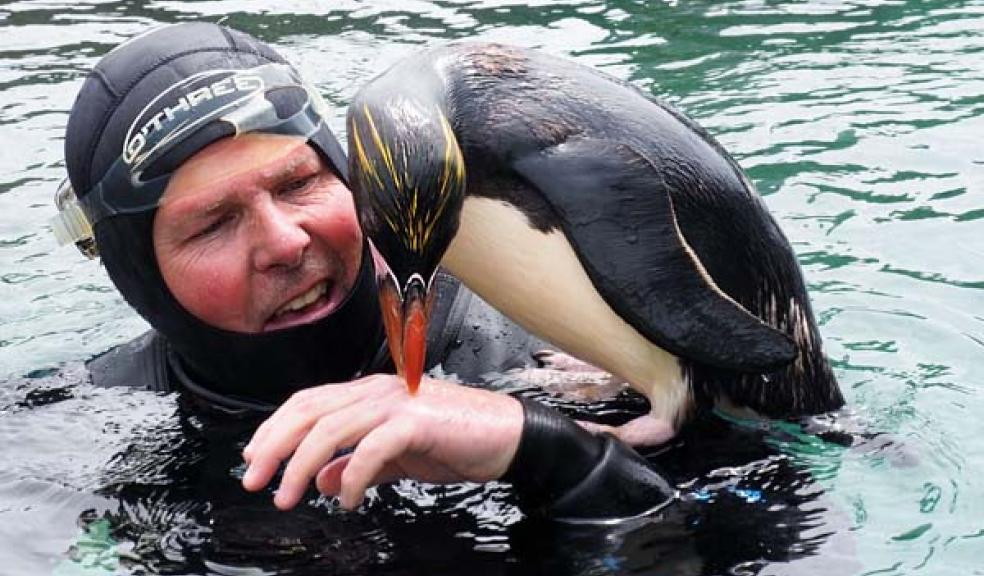 Living Coasts, Torquay