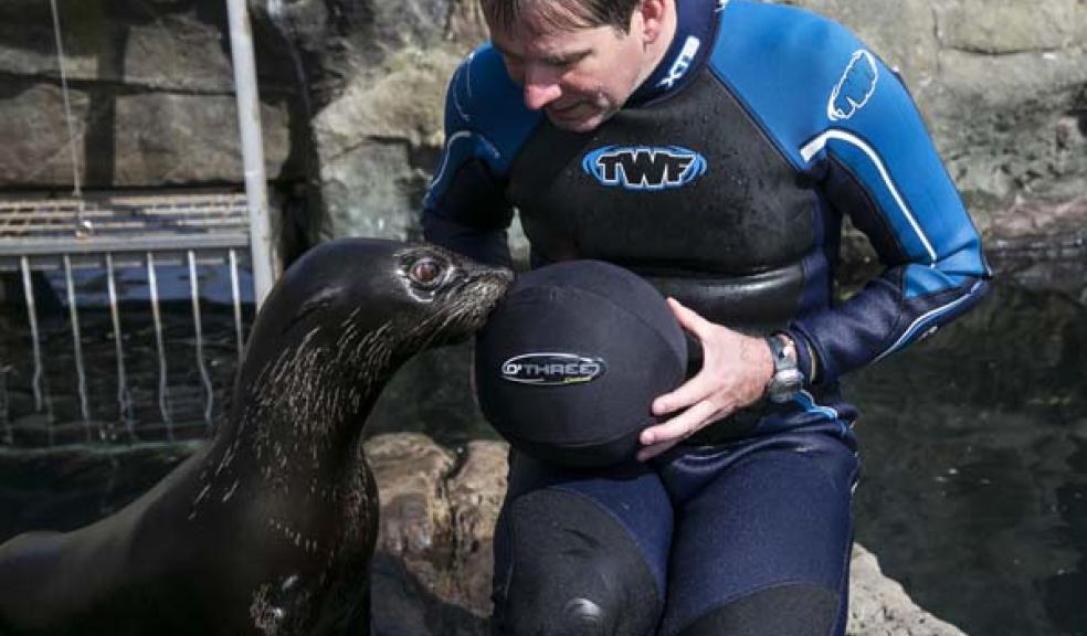 Play time at Living Coasts