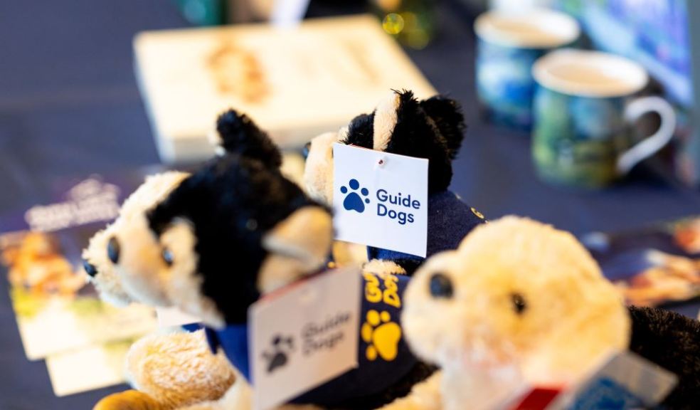 Some Guide Dogs fluffy soft toys on a merchandise stand. 