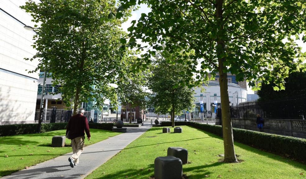 Councils share £600K cash boost to plant trees in the heart of communities in the South west