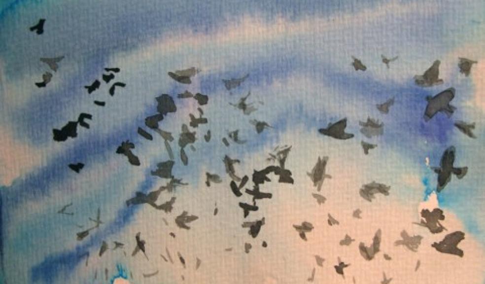 365, Karen Howse