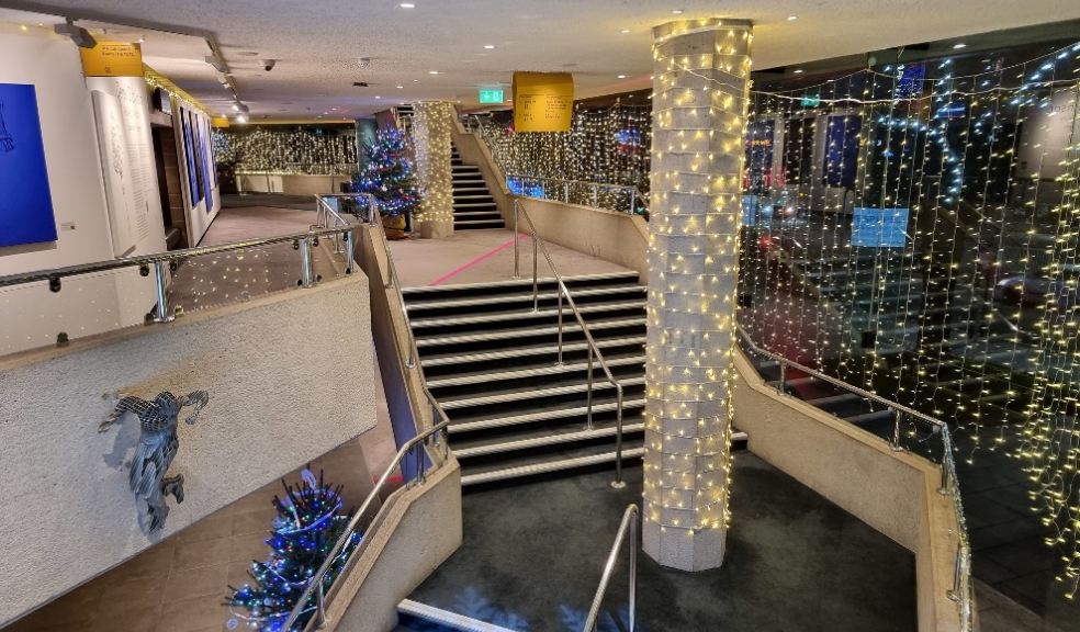 Theatre Royal Plymouth celebrates community work with ‘Festive Forest’ display