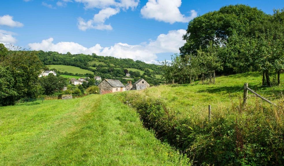 A view of Branscombe Mill, Devon ©National Trust Images/Eric McDonald