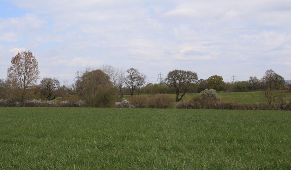 Aura Horton solar farm