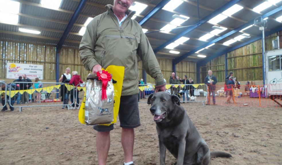 Best in Show winner Taser