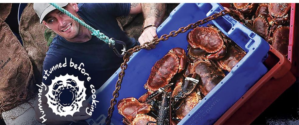 Photo courtesy of Blue Sea Food Company Blue Sea Food crab