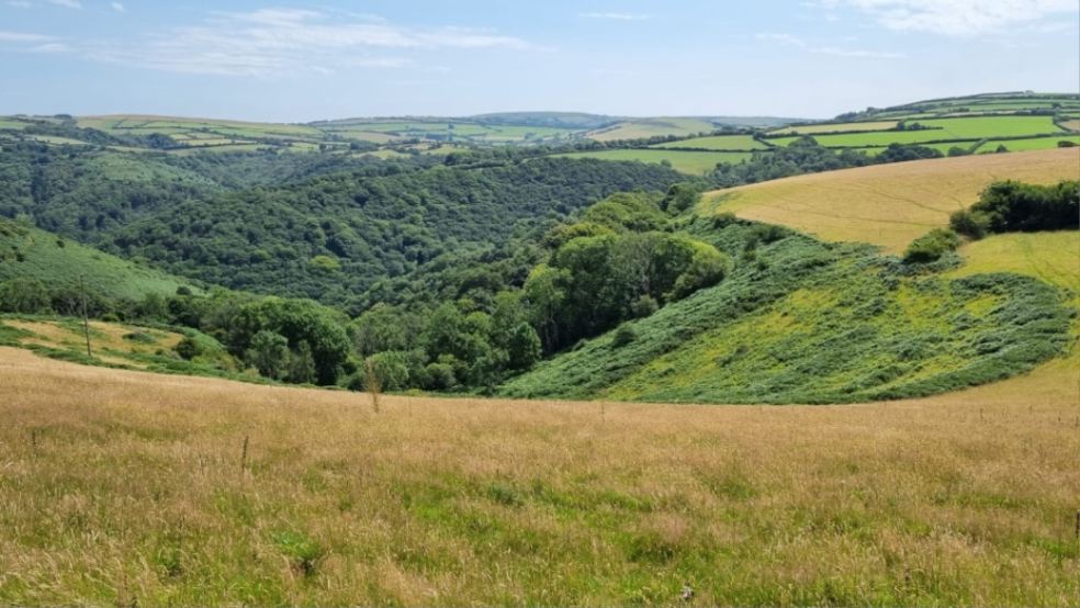 Britannia Woodland.