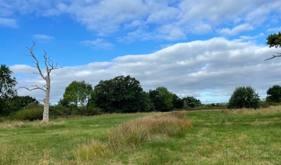 Broadclyst green space