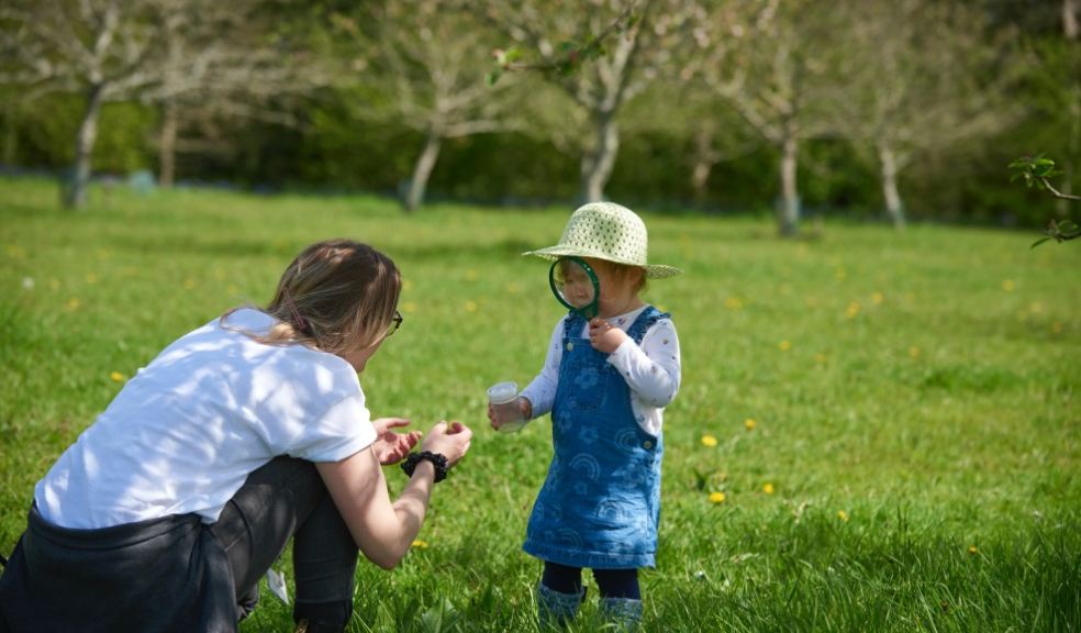 Bug hunting. Photo © National Trust,Trevor Ray Hart.