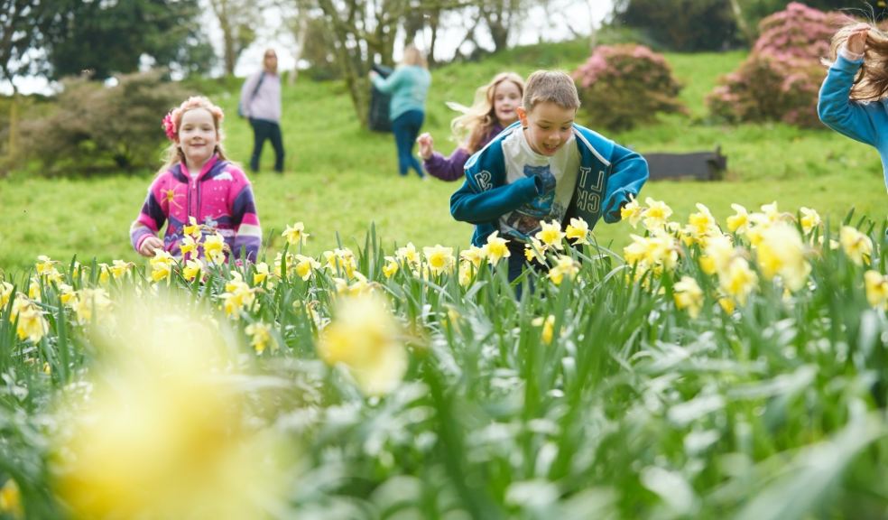 children, running, outside through daffodils in gardens