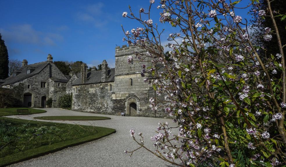 Cotehele February opening 2017. Image: National Trust/Tish Valva