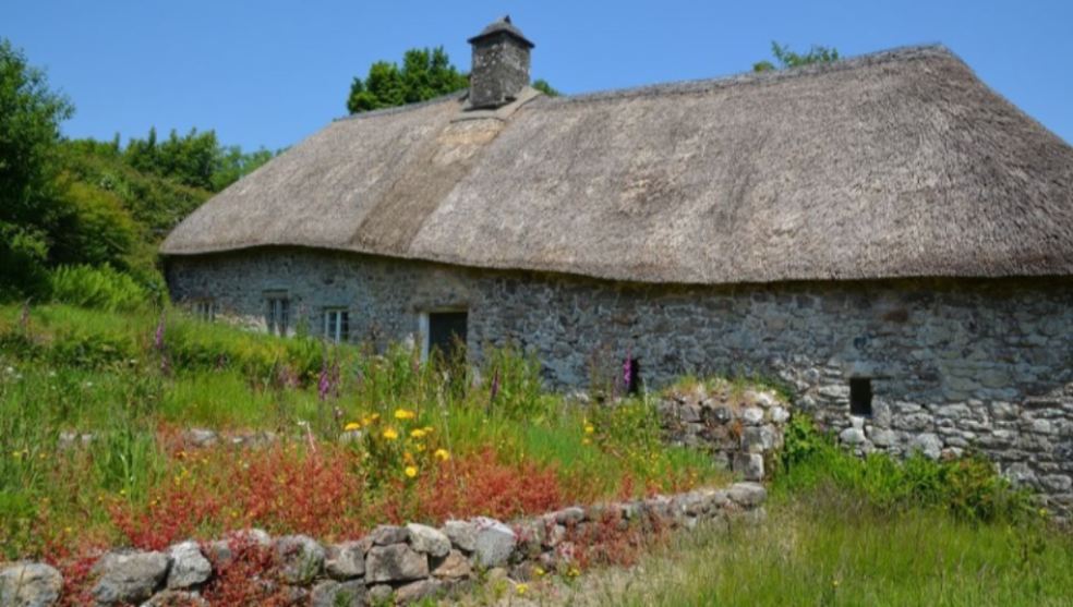 Image courtesy of Dartmoor NPA