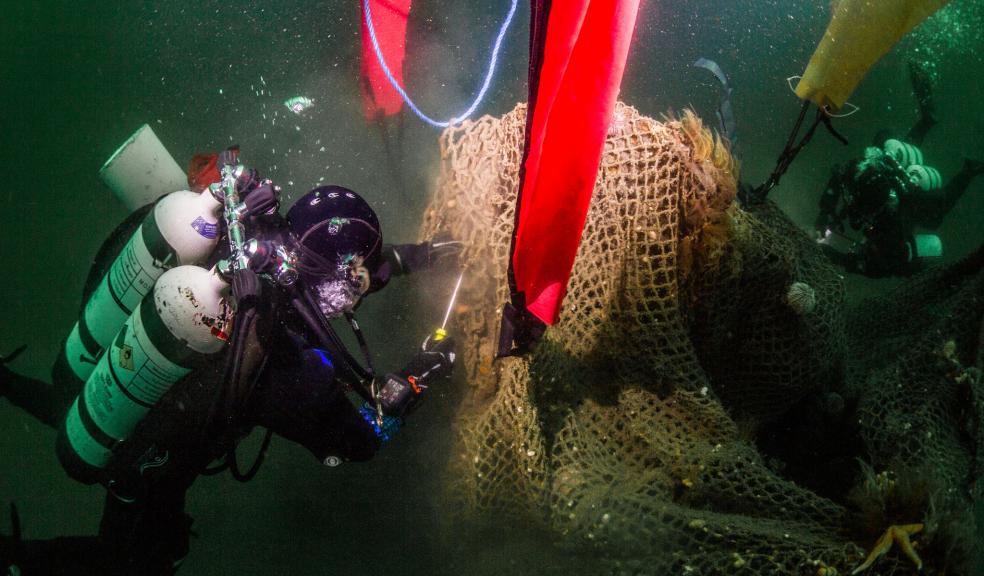 Divers lift nets in Scapa flow