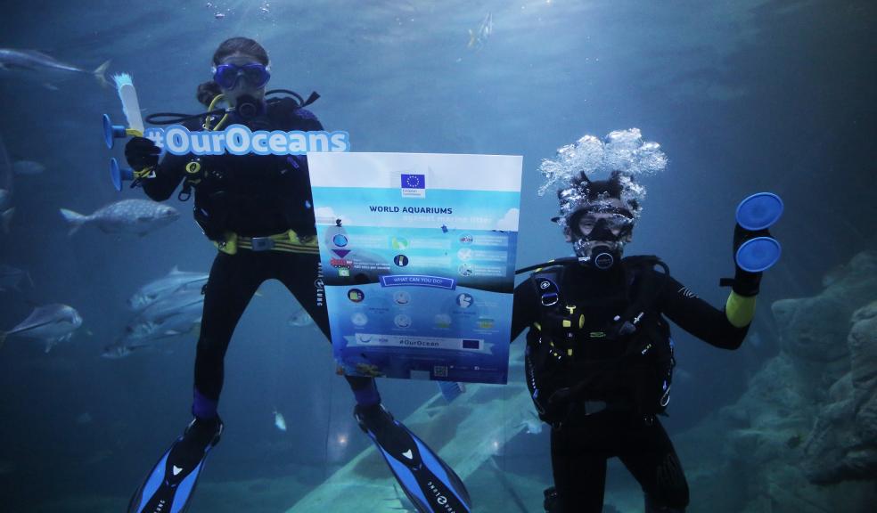 vDivers take the plunge at the National Marine Aquarium to launch #OurOceans campaign in Plymouth