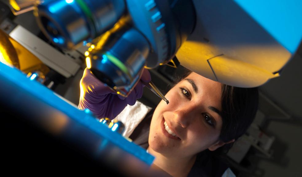 Dr Natasha Stephen