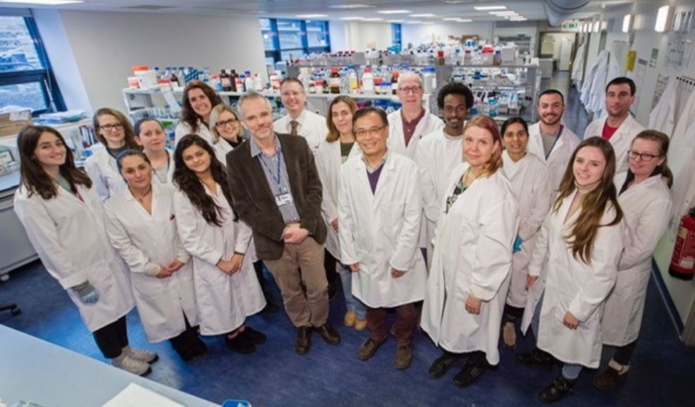 Dr Sylwia Ammoun pictured second from right on front row with scientists at Brain Tumour Research Centre, University of Plymouth
