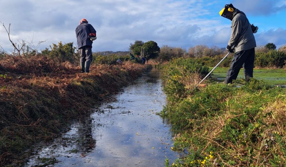 Strimming at Drakes Leat. Photo: Dartmoor Preservation Association.