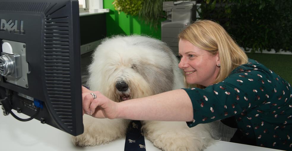 Trish Elsey, Internal Engagement Manager for Akzonobel UK.