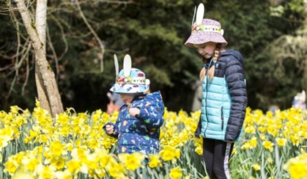 Children walking through daffodils. Photo: National Trust.