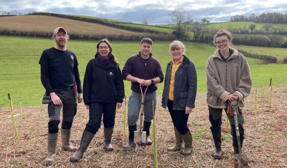Emergency Tree Fund planting near Ipplepen (left to right) - Andrew Price (ParkLife South West), Rosie Walker (Woodland Trust), Elliott Saloman-Carter (Devon County Council), Cllr Andrea Davis (DCC Cabinet Member for Climate Change and Environment), and Alberta Shearing (Devon County Council)