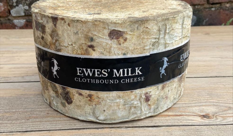Quicke's Limited Edition Ewes Milk Cheese