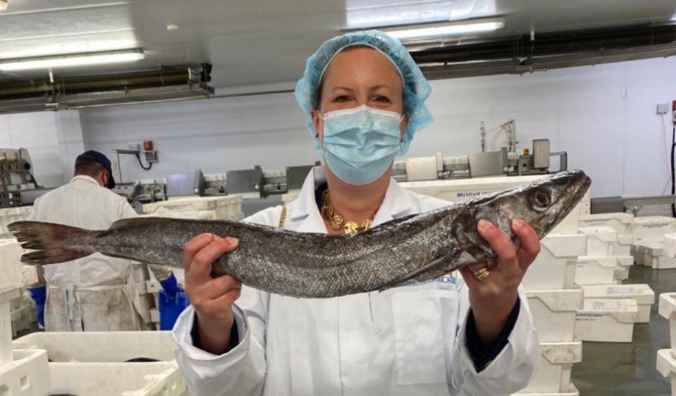 Fisheries Minister Victoria Prentis at Brixham Fish Market
