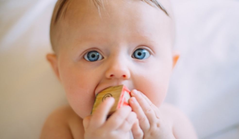 Freebies for Moms, Baby playing with a toy