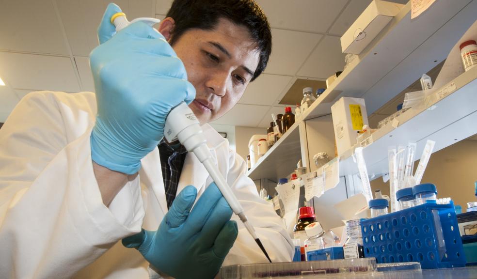 Scientists at Plymouth University Peninsula Schools of Medicine and Dentistry work on world-leading research supported by Brain Tumour Research