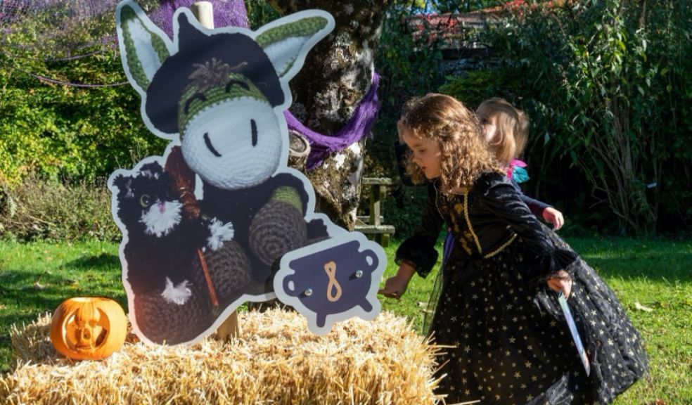 Haunted Hay Bales Halloween Trail at The Donkey Sanctuary.
