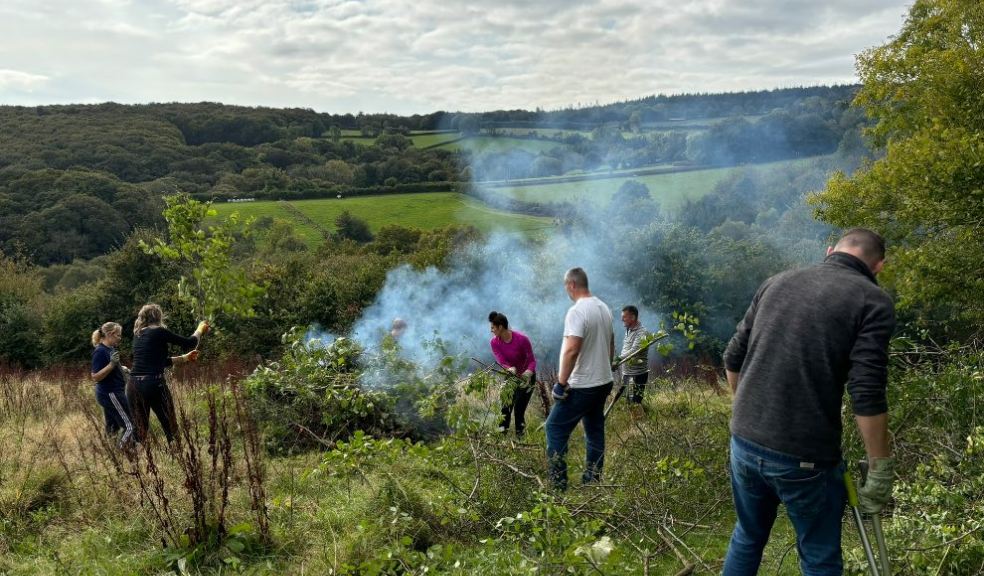 Volunteers from Barratt David Wilson Homes Exeter clearing bushes at the Barn Owl Trust nature reserve.