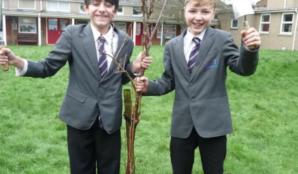Photo caption: Charlie Pulleyblank (left) and Kai Bransby with the flowering cherry tree at Plympton Academy.