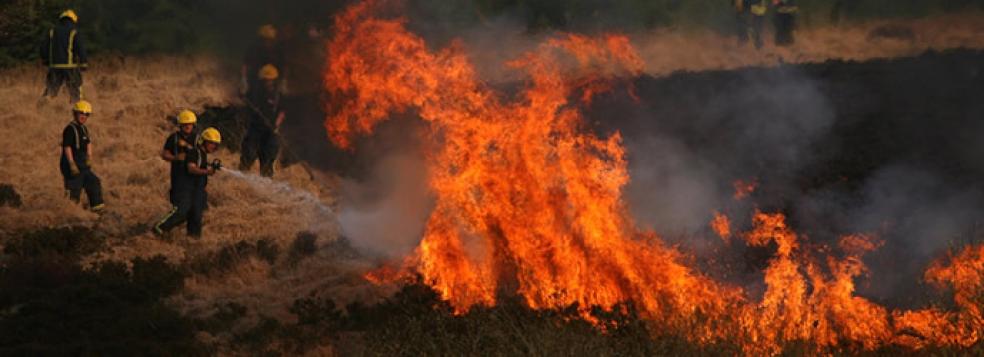 Wildlife charity warns of increased risk of wild fires