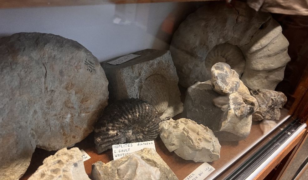 Leon Garner Fossils