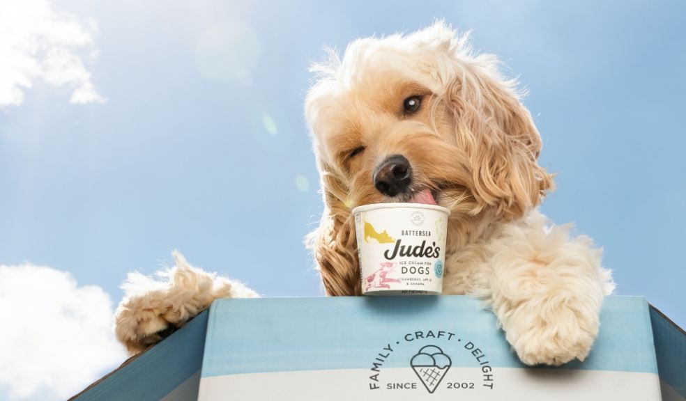 Lottie the dog laps up Judes ice cream