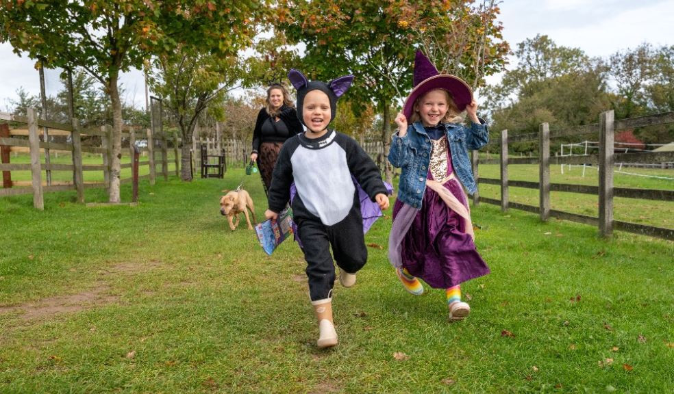 October trail at The Donkey Sanctuary. Photo: The Donkey Sanctuary.