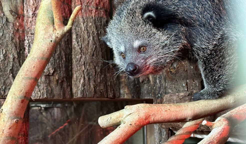 Image: Paignton Zoo