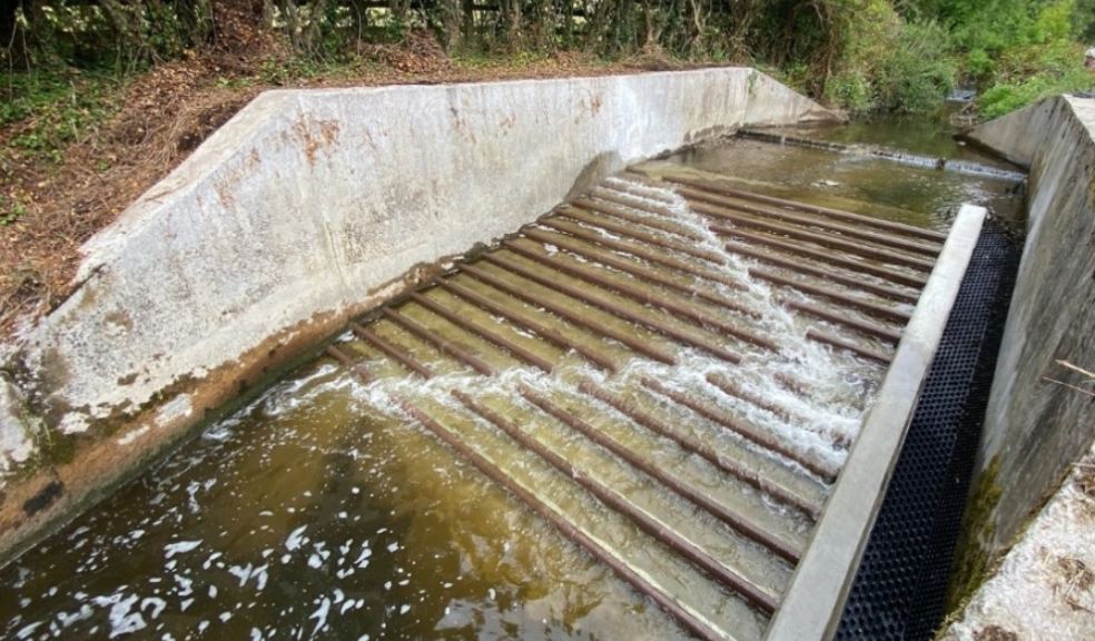 The new fish pass