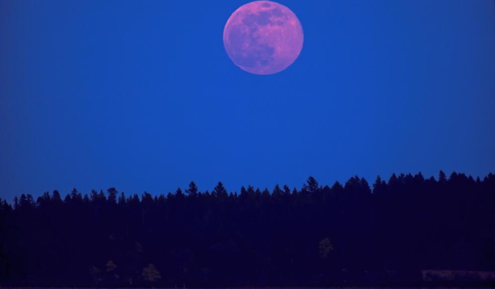 Pink supermoon by pr2is/ShutterStock