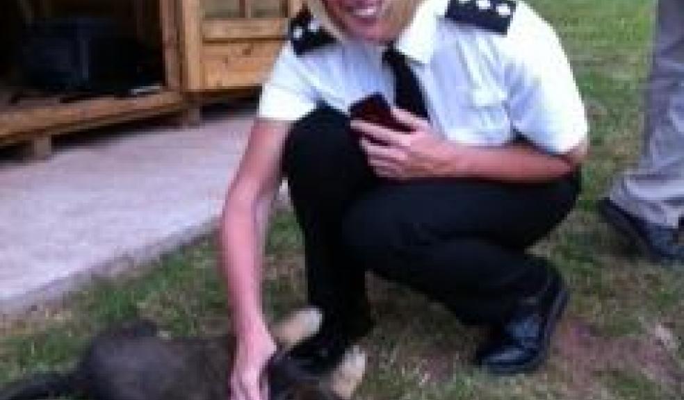 Police puppies meet their new walkers