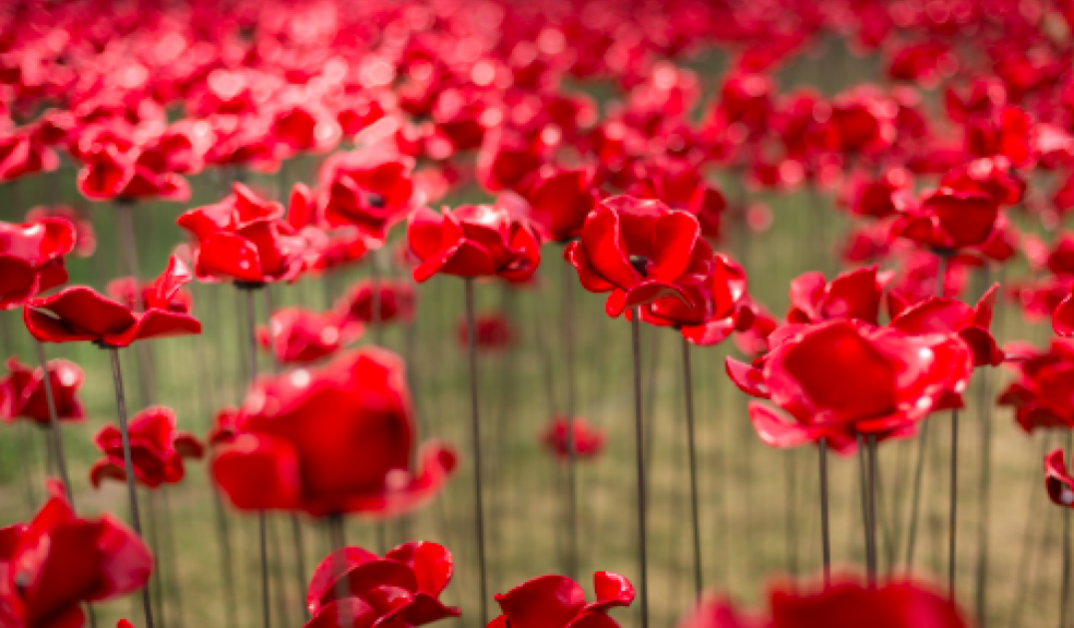 14-18 NOW Poppies_Tower of London -® Richard Lea-Hair and Historic Royal Palaces.