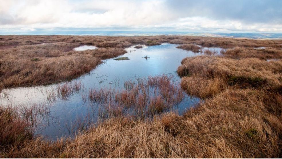 Image: Dartmoor National Park Authority